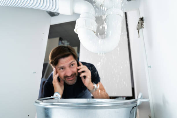 Best Emergency Plumbing Repair  in Mledgevle, IL