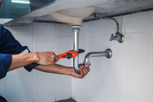 Best Plumbing Inspection Services  in Mledgevle, IL