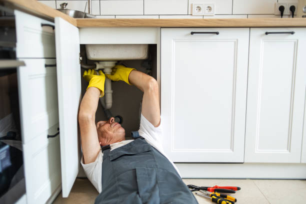 Best Affordable Plumbing Services  in Mledgevle, IL