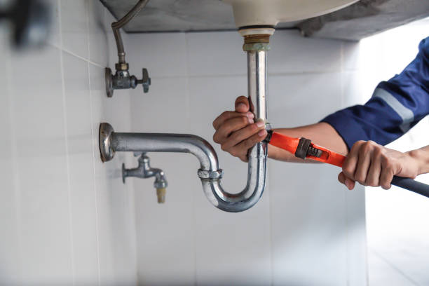 Best Shower Repair Services  in Mledgevle, IL